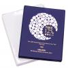 記念ミント貨幣 1996年 円誕生125周年貨幣セット 銀メダル入り 完未品
