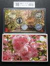 2005年銘版(平成17年) 桜の通り抜け 紅華 貨幣セット 銀メダル入り 完未品