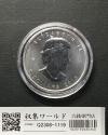 カナダ 5ドル メイプルリーフ銀貨 2013年銘 1オンス カプセル入り 未使用-1119