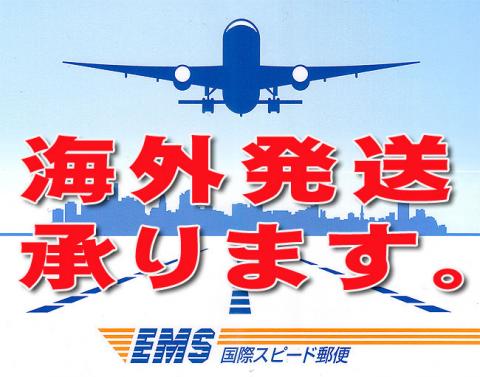 EMS国際郵便=海外発送=送料追加