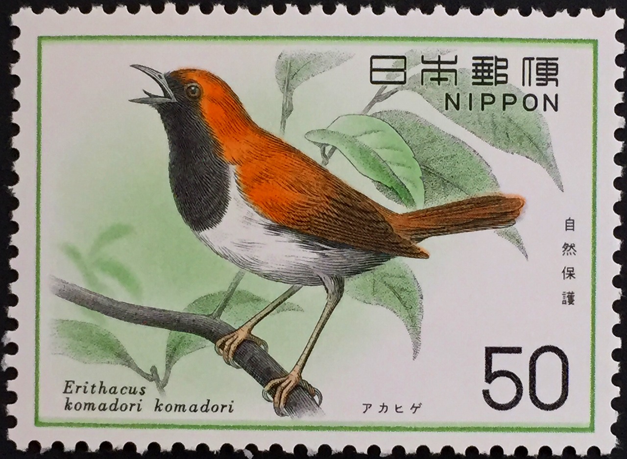 1976年鳥切手　自然保護　アカヒゲ　50円　