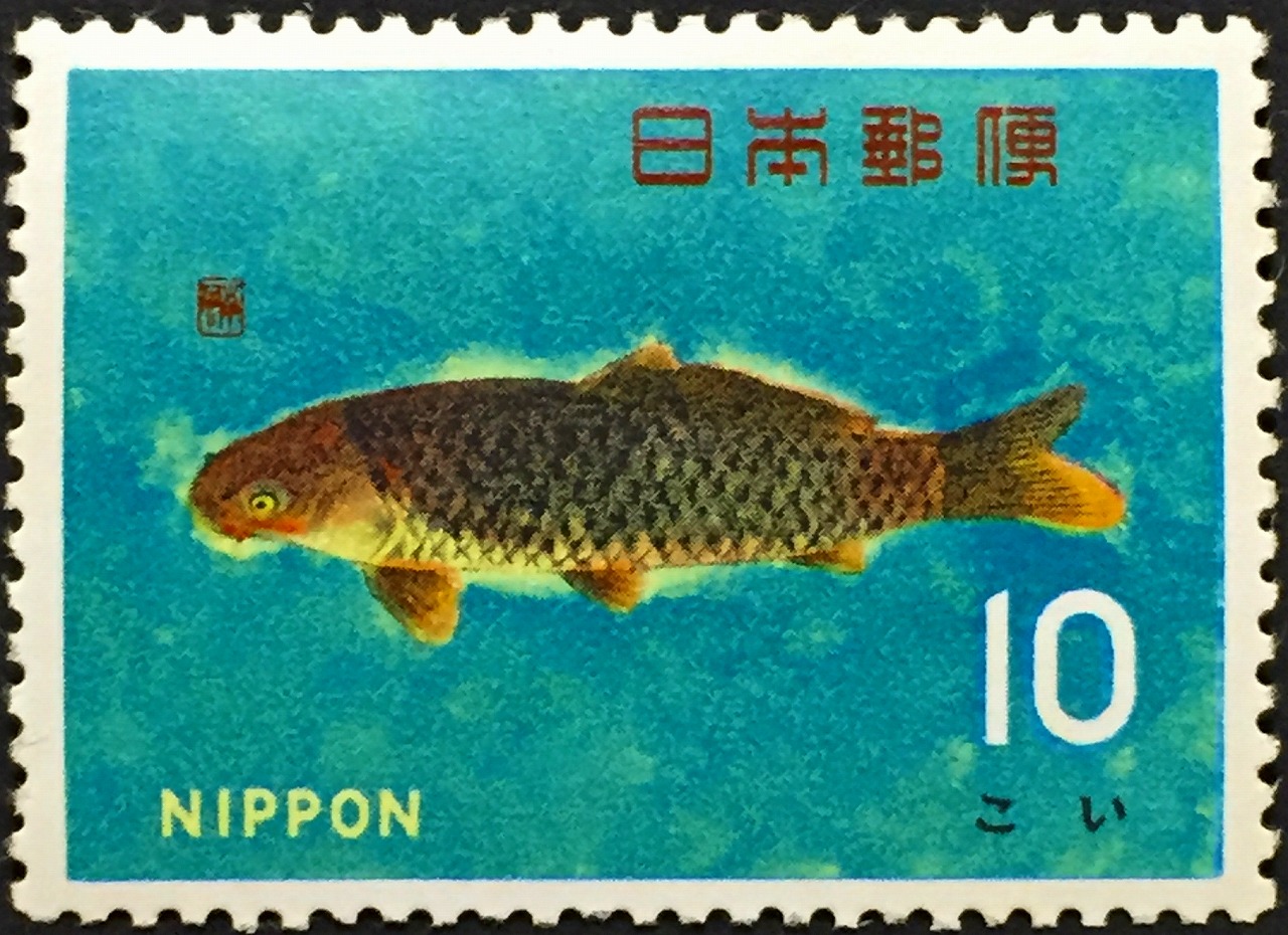 1966年　魚介シリーズ > コイ　 面額10円