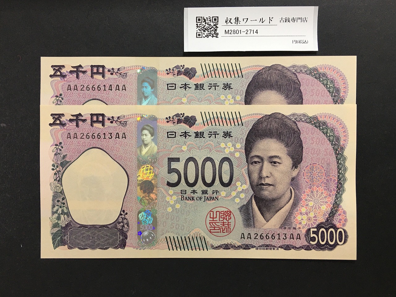 津田 5000円紙幣  AA-AA券 2024年銘 AA266613〜14AA 完未品 2枚セット