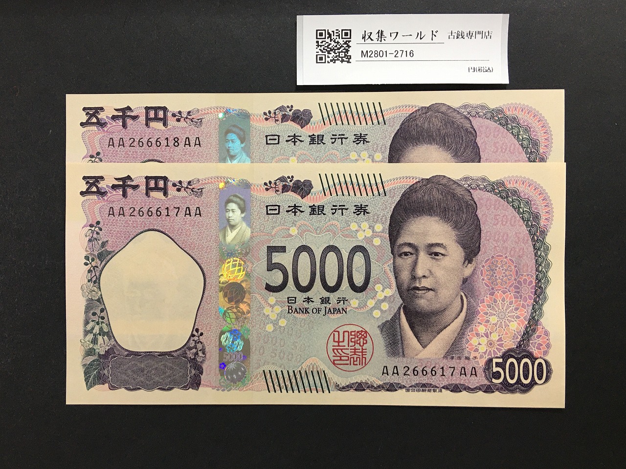 津田 5000円紙幣  AA-AA券 2024年銘 AA266617〜18AA 完未品 2枚セット