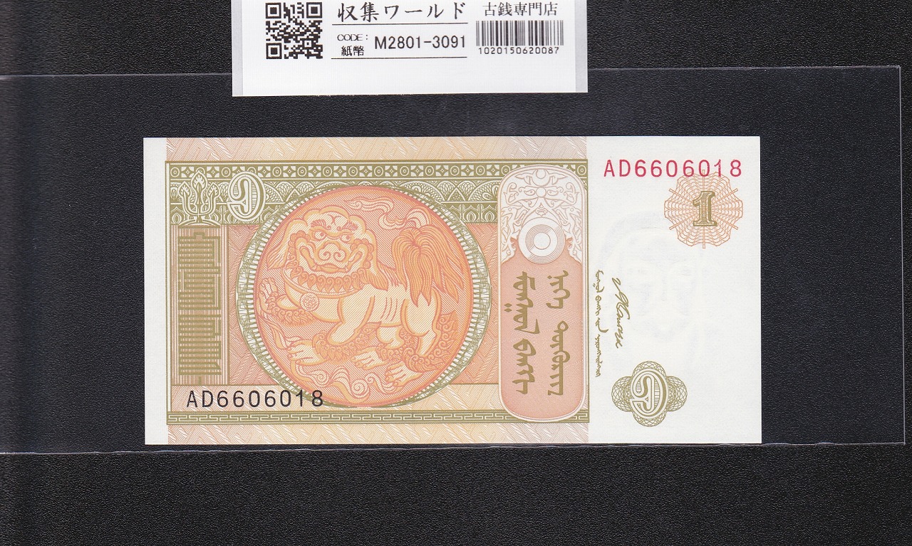 中国 | 収集ワールド