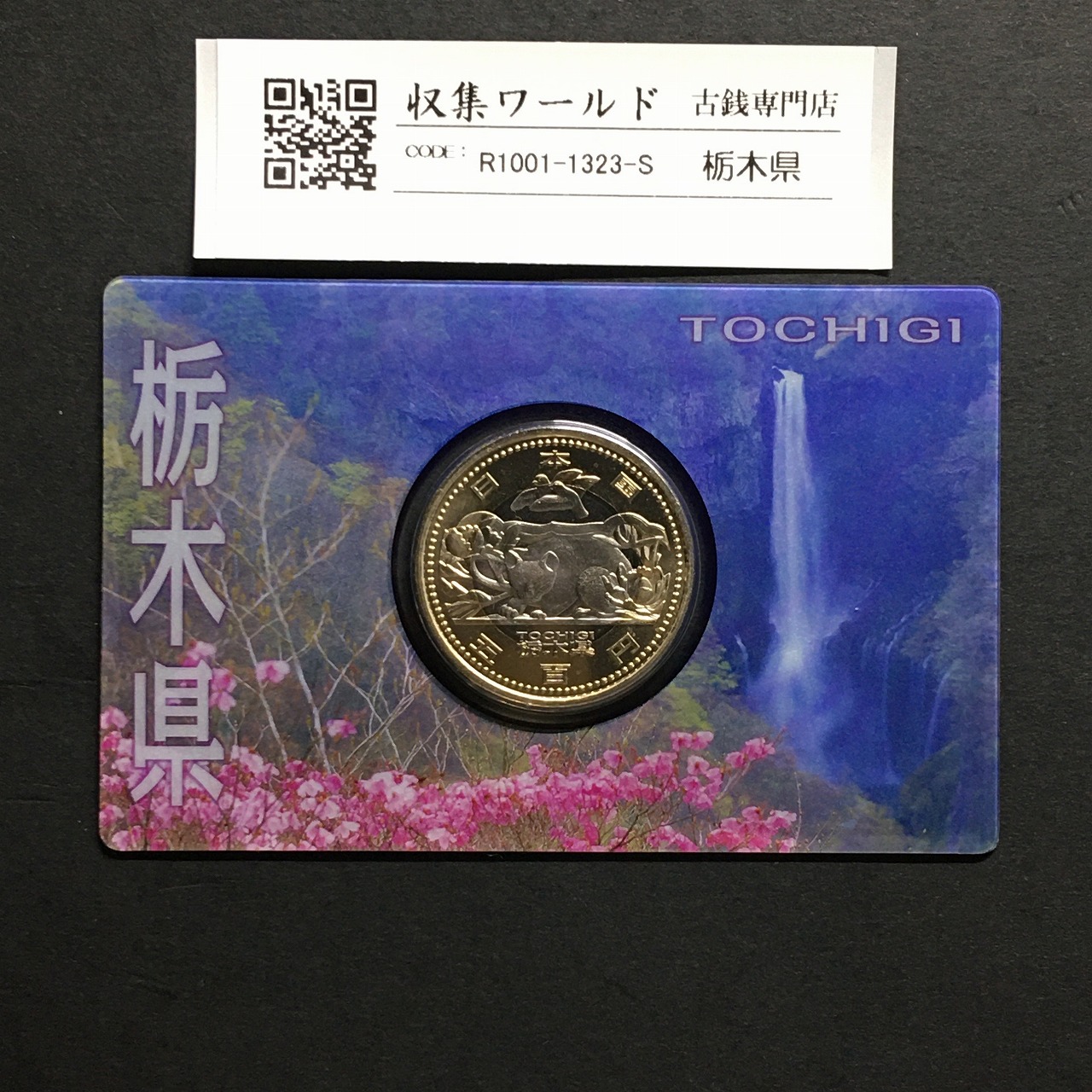 500円バイカラークラッド貨 地方自治法施行60周年記念 栃木県 カード型